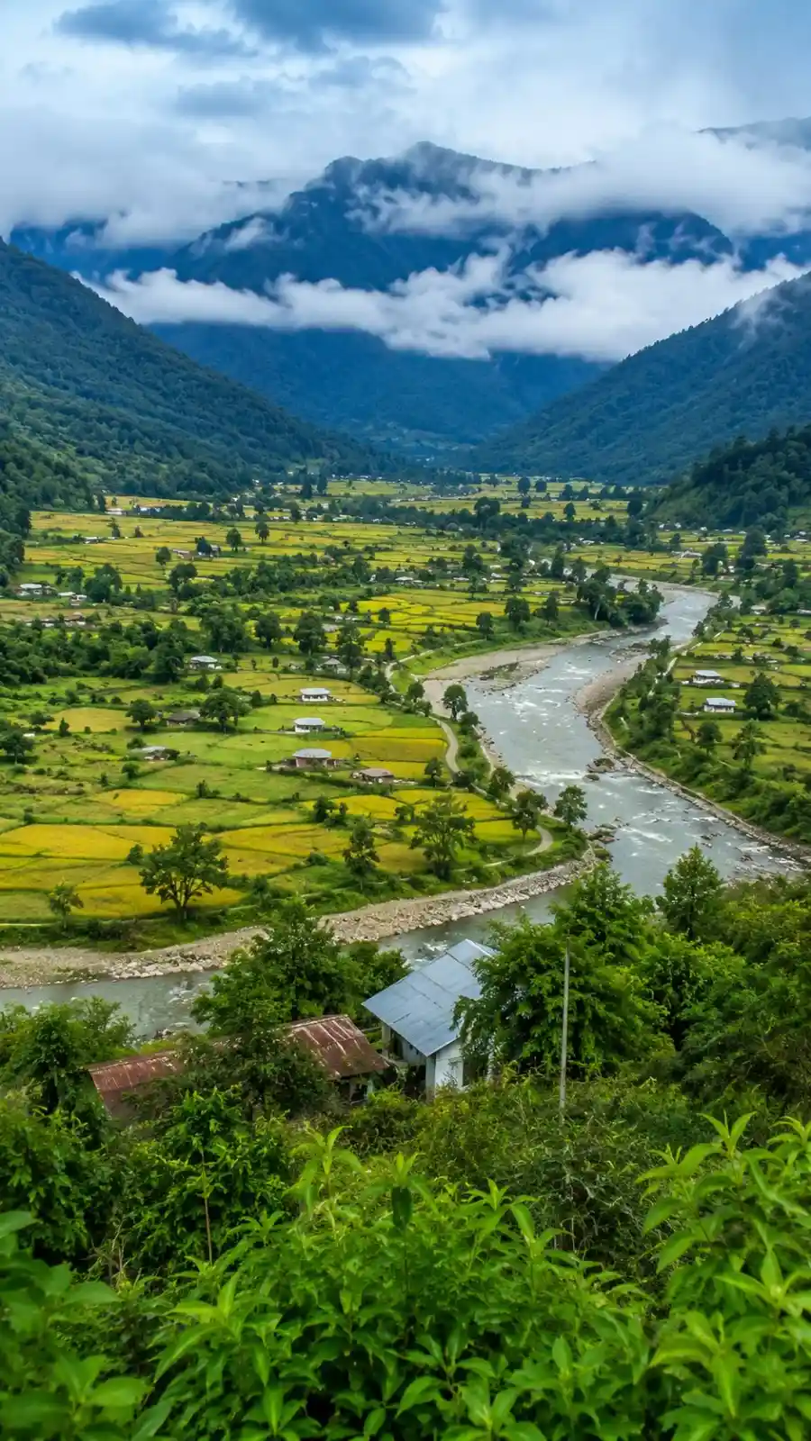 Complete Arunachal Explorer