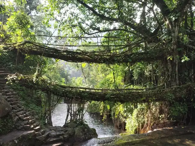 Cherrapunji Weekend Escape