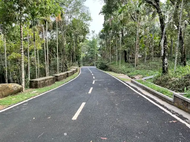 Meghalaya Honeymoon Bliss