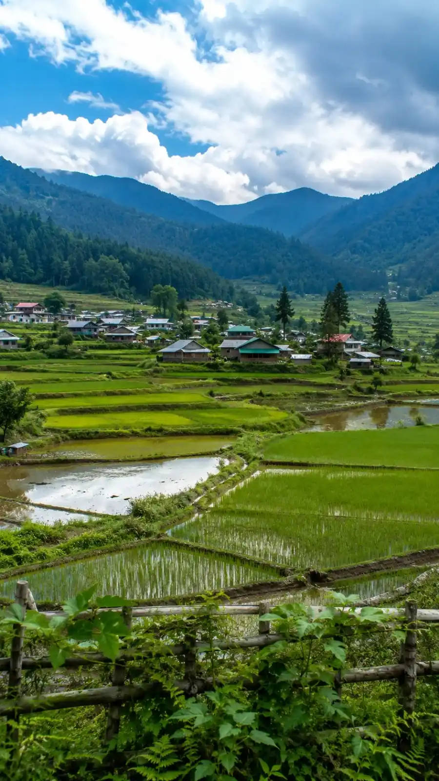 Ziro Valley Tribal Retreat